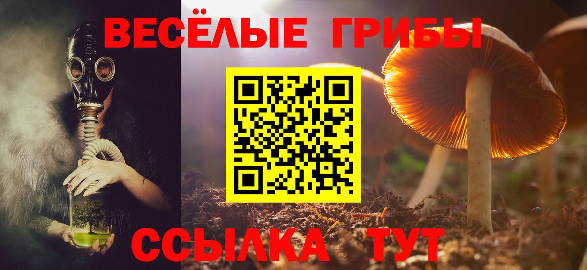 Галлюциногенные грибы мицелий Нижневартовск